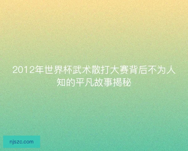 2012年世界杯武术散打大赛背后不为人知的平凡故事揭秘