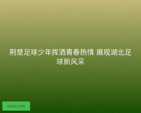 荆楚足球少年挥洒青春热情 展现湖北足球新风采